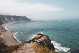 pexels-mark-neal-5014373