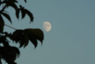 pexels-saniye-nur-aydin-17645747